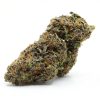 Buy French Marcaroon strain online USA