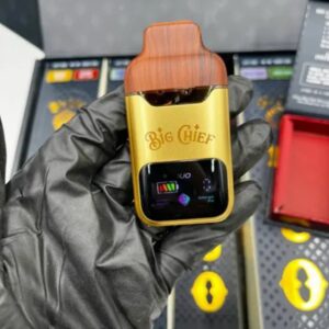 BIG CHIEF DUO 2G Disposable Vape