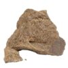 Pan Dulce Hashish